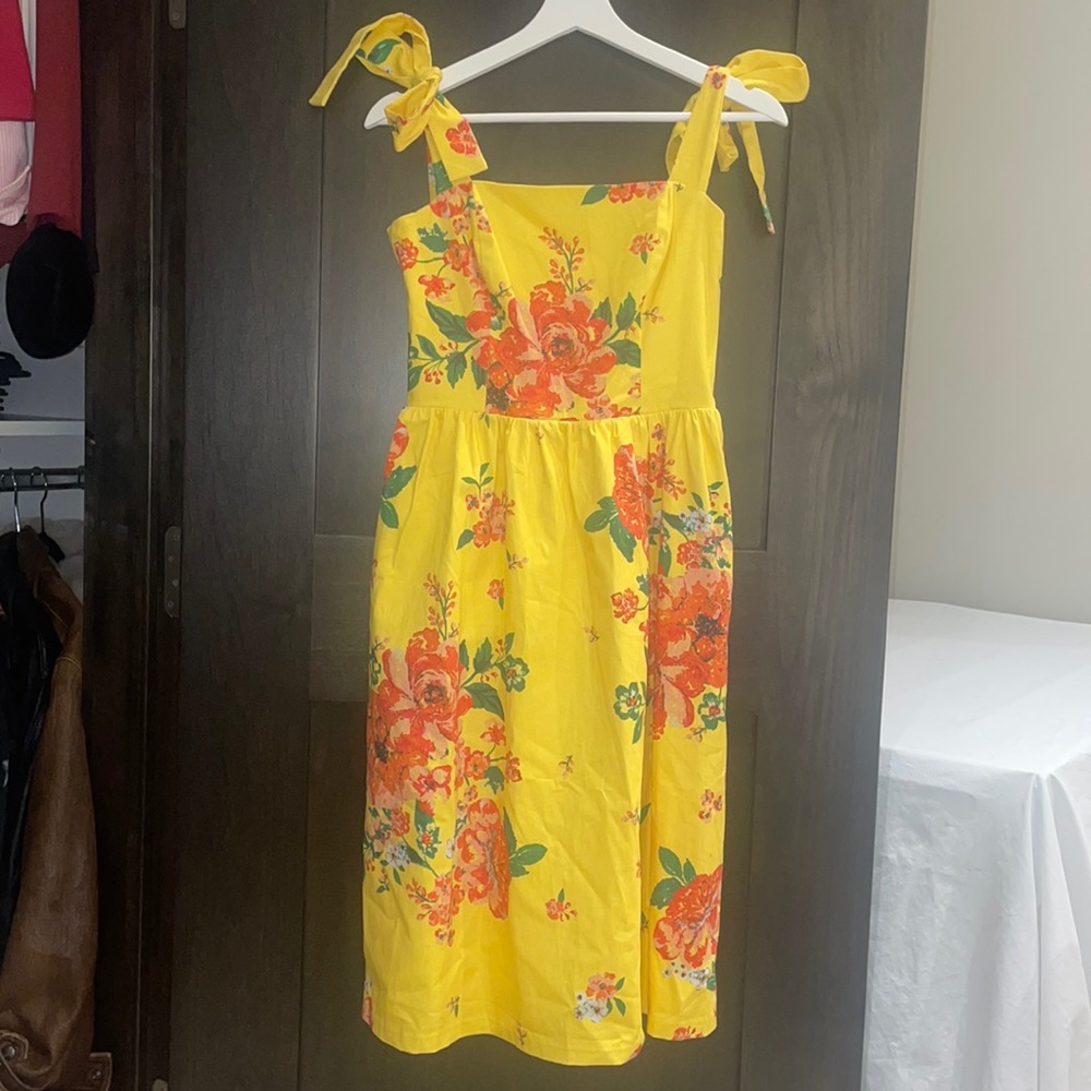 Charles Henry Summer Dresss